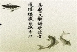孕妇梦见老鼠打不死赶不走